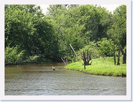 June - MN - River Boat - (30) * 3648 x 2736 * (7.96MB)